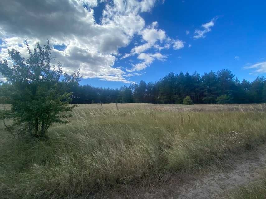 Участок Нижняя Дубечня 12 соток