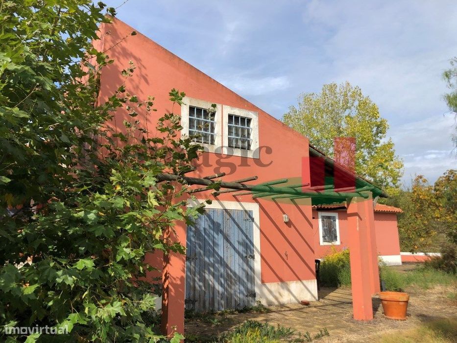 Quinta com 2 Casas de Campo, Olival e Vinha em Azambuja