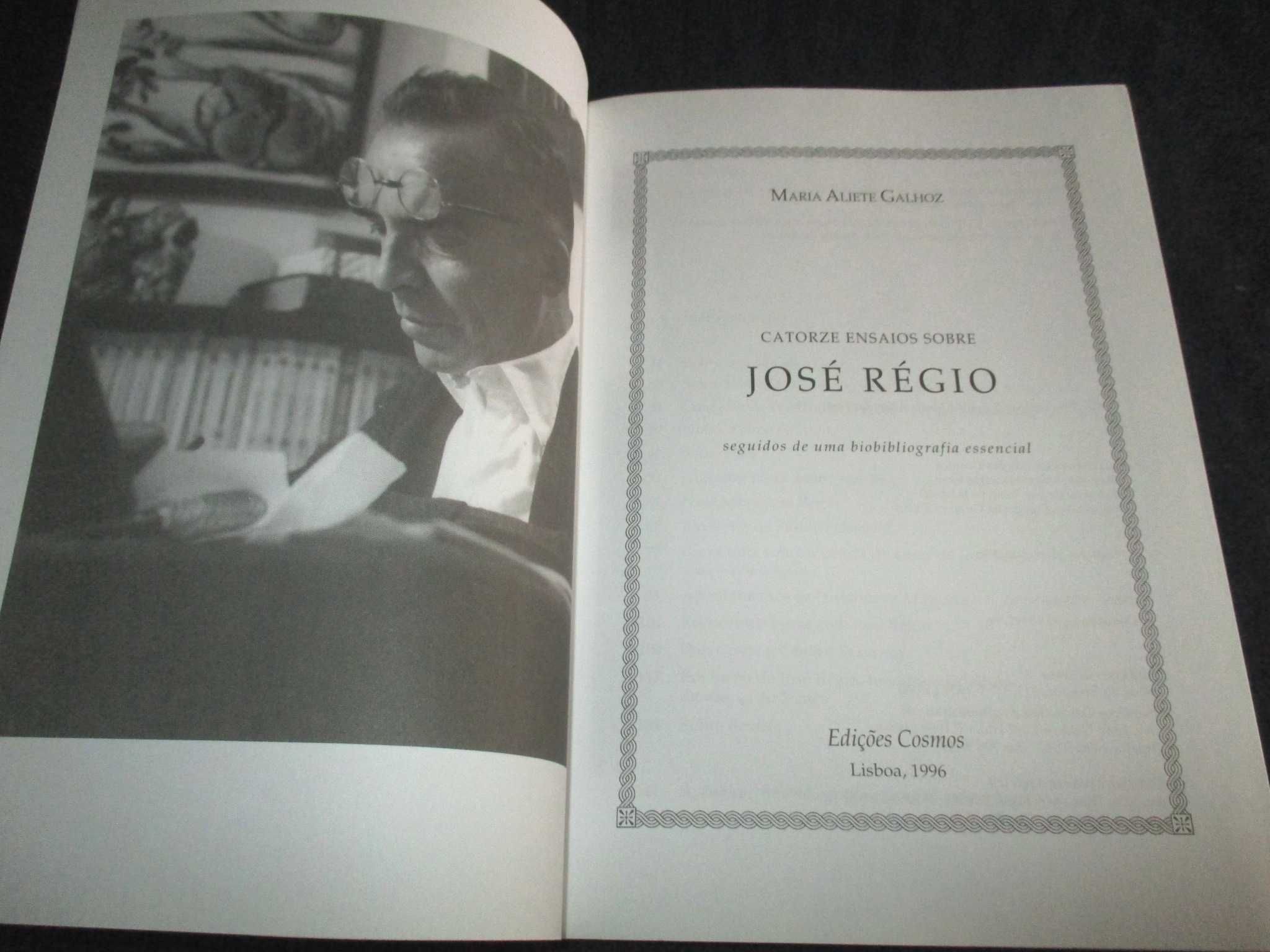 Livro Catorze Ensaios sobre José Régio Maria Aliete Galhoz