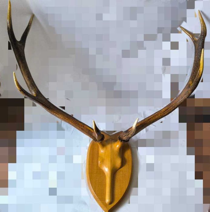 Роги оленя на медальоні