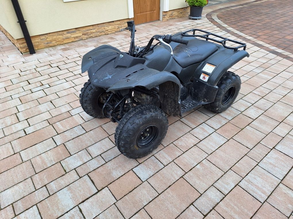 Yamaha Grizzly 125 quad