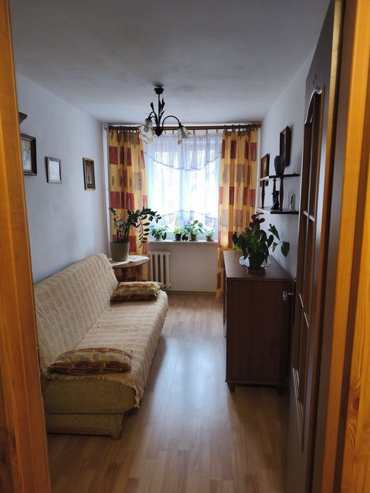 Wynajem mieszkania - najem okazjonalny.