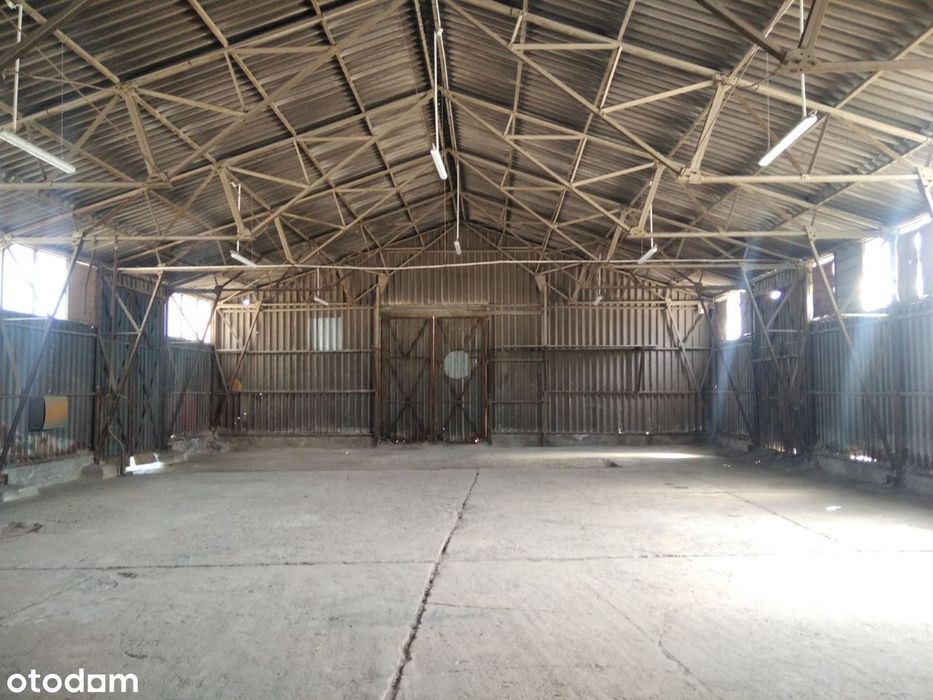 Bez prowizji, magazyn 295,04 m² Górczyn, Hallera