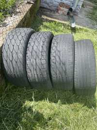 Continental ContiEcoContact 5 205/55 R17 95v