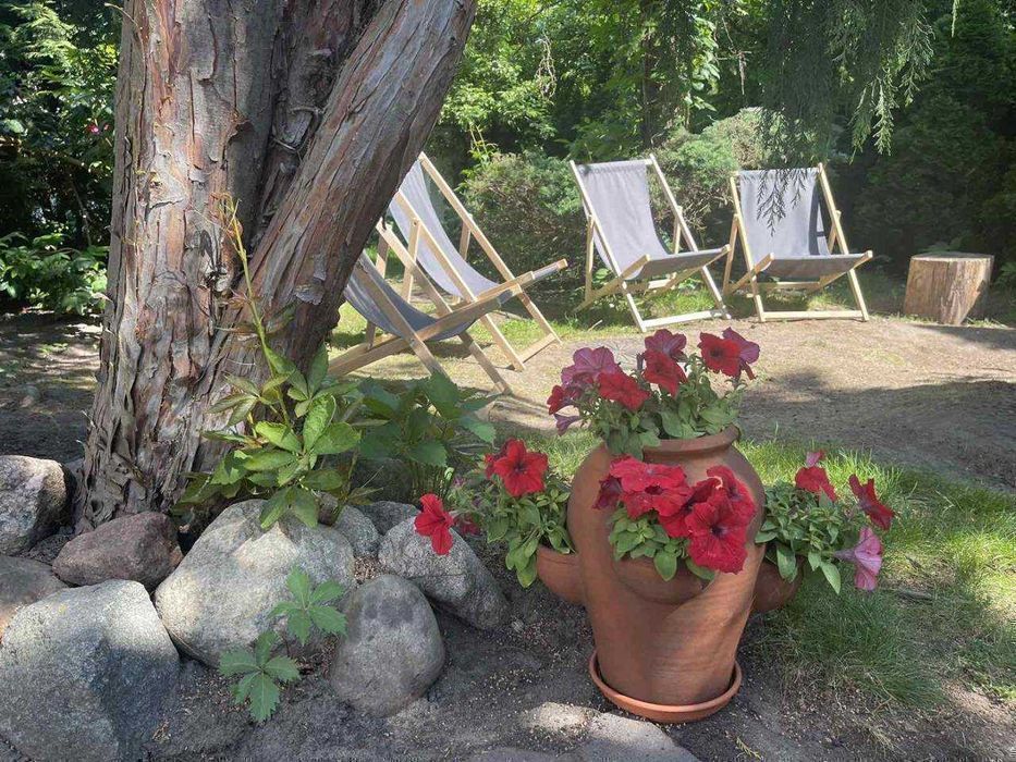 Nowy Hostel w Warszawie Wilanów, Mokotów, Ursynów - Хостел с бассейном