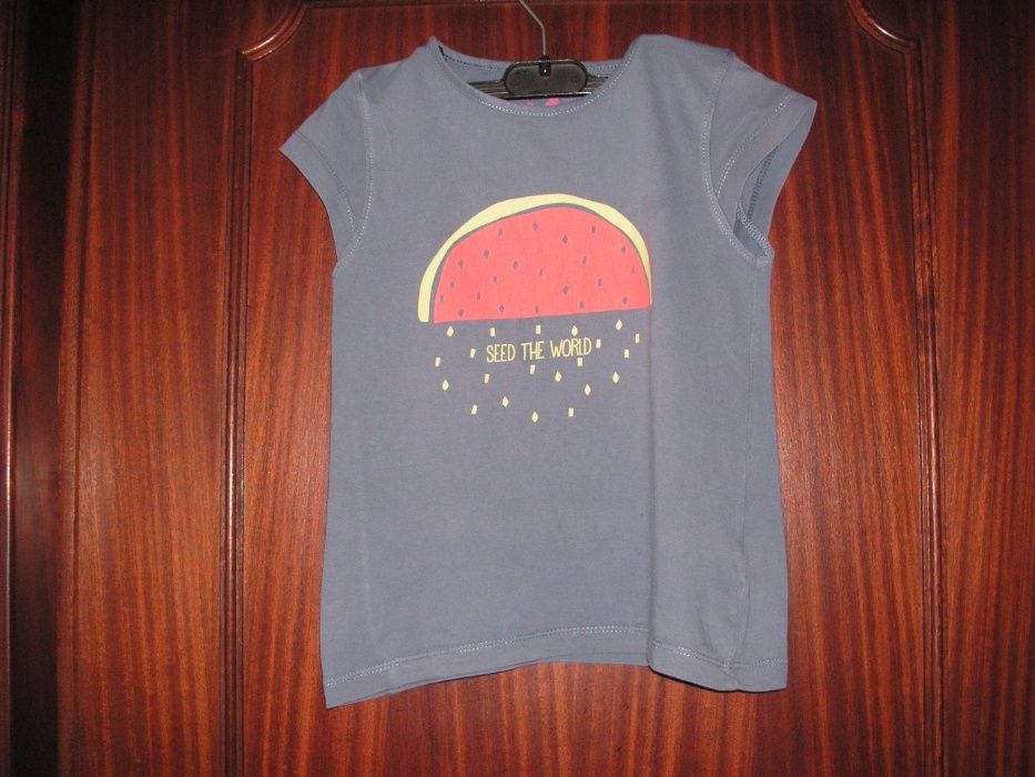 T Shirts BdB, Zippy e Tamar T-4/5 Anos ( Três)