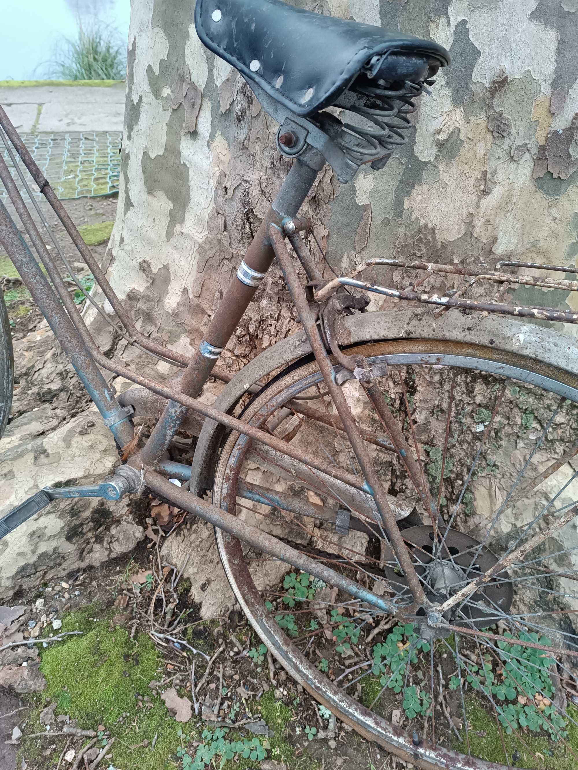 Bicicleta pasteleira muito antiga