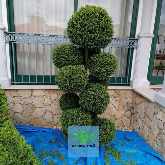 Serviços de limpeza de terreno e jardinagem.