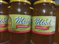 Miód nawłociowy z Podkarpacia