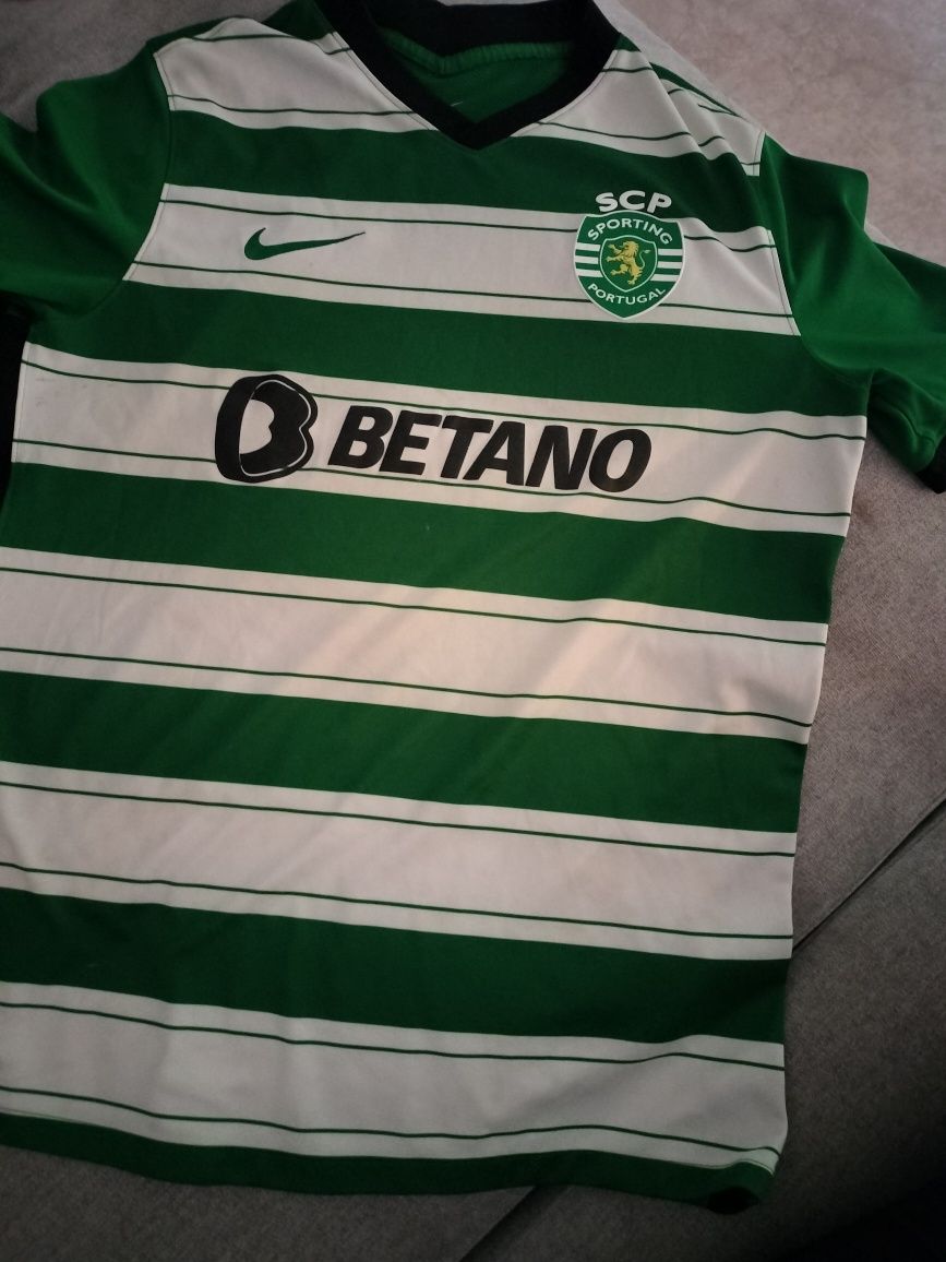 Camisola  OFICIAL ano 22  bicampeão
