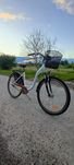 Rower Damka teamraider