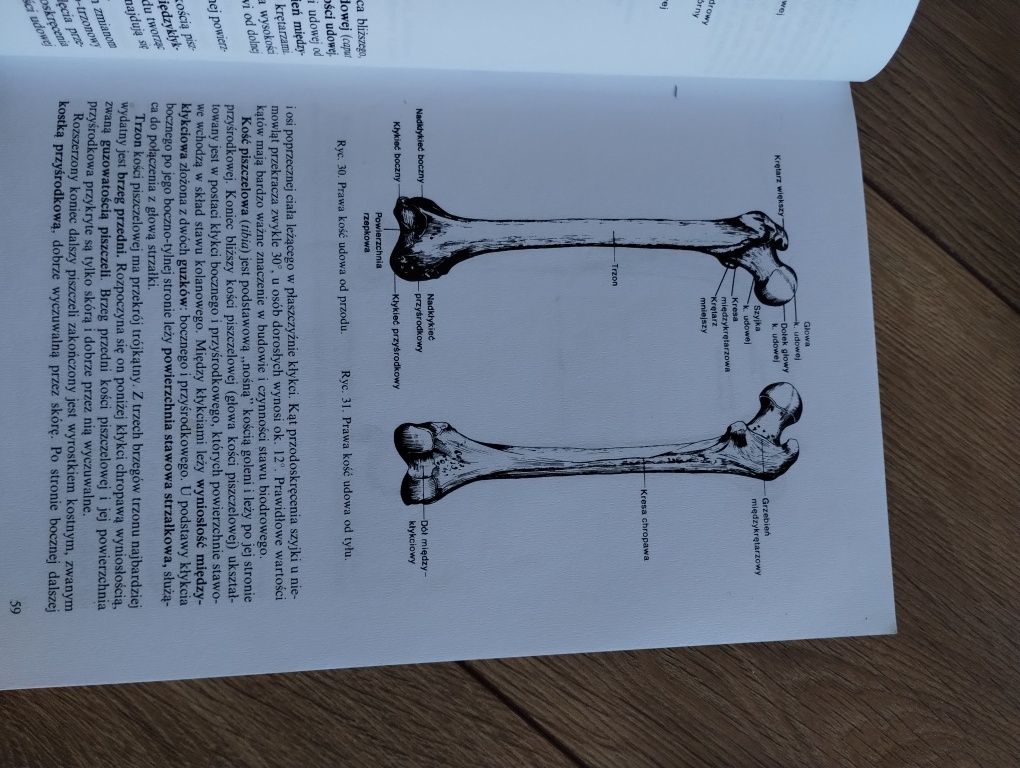 Anatomia i fizjologia człowieka A.Michajlik W.Ramotowski