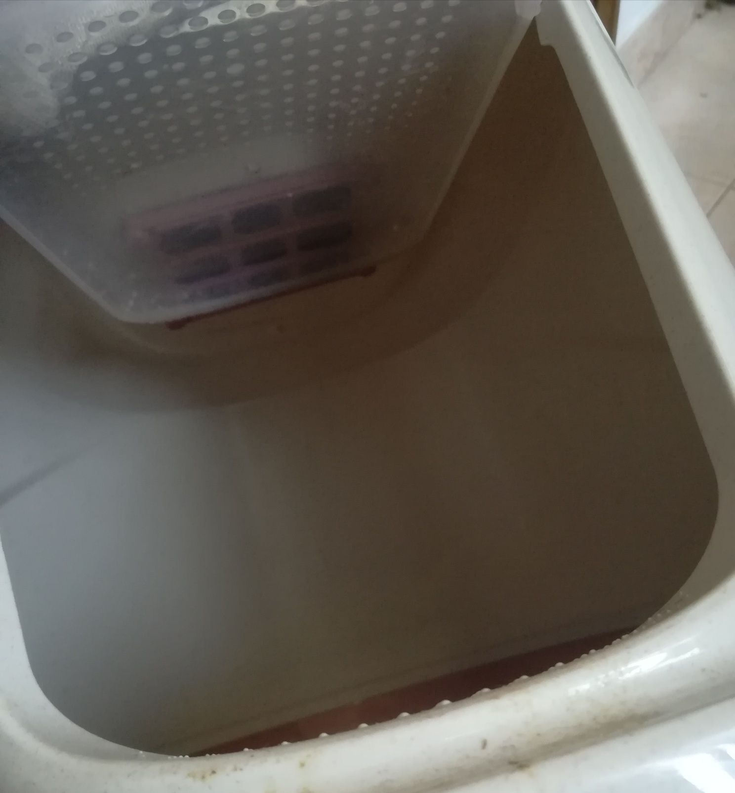 WC de Gatos     .
