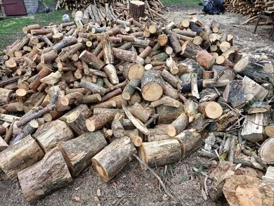 Drzewo na opał sosna