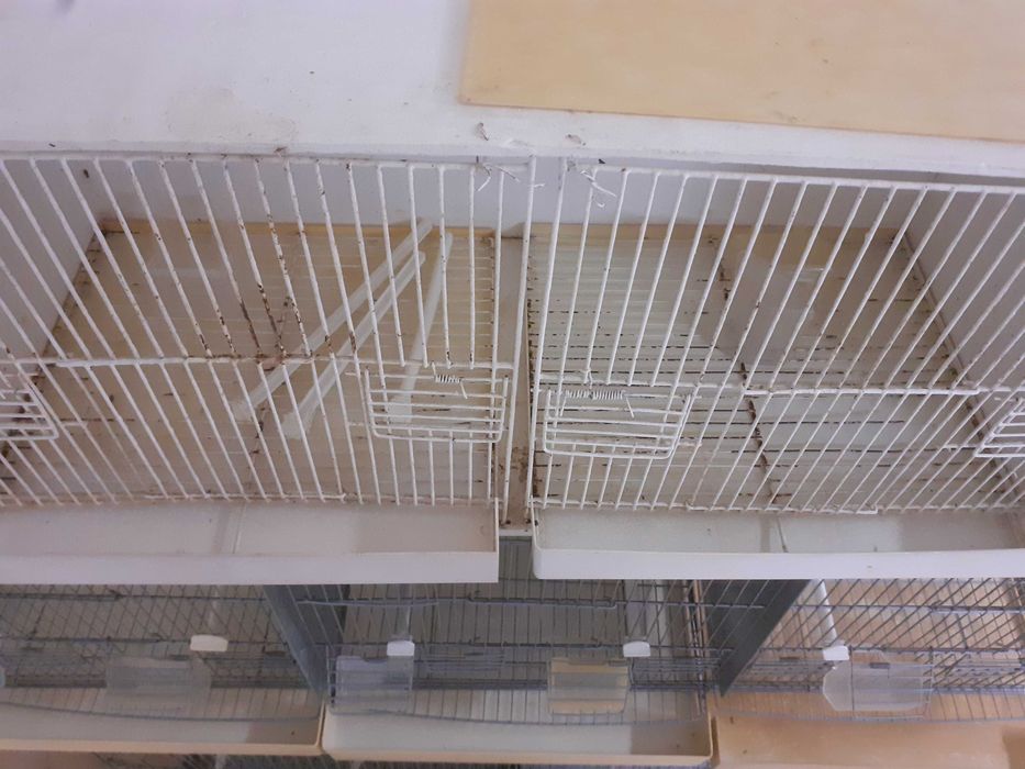 Viveiros para aves em bom estado (1m/1.20m/0.77m)