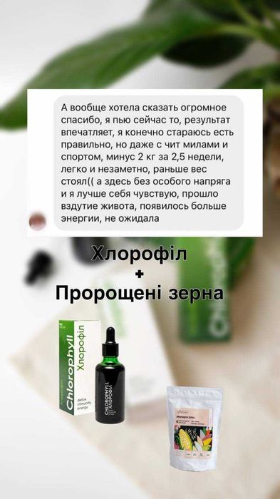 Хлорофіл Chlorophyll