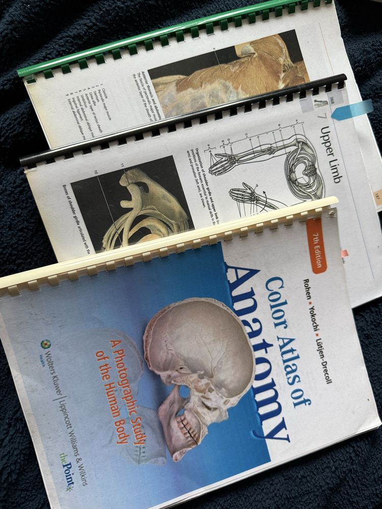 Atlas anatomii Yokochi 7 wydanie po angielsku