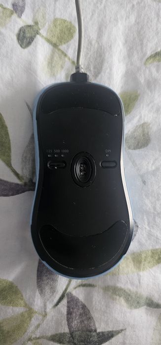 Myszka Zowie EC2-B DIVINA BLUE