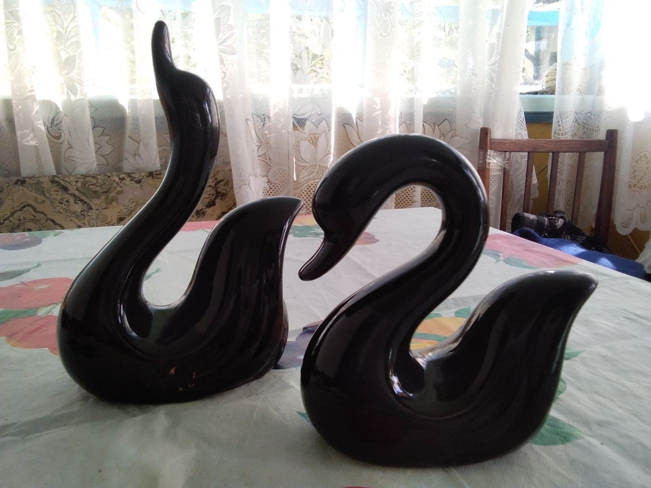 Чёрная лебеди для коллекции