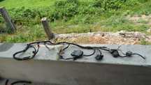 material hornet 600