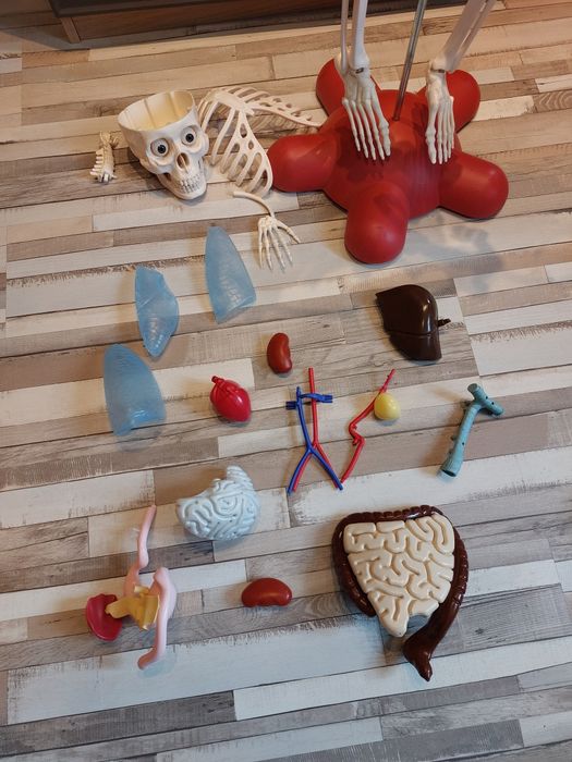 Kostek kosciotrup szkielet człowieka z gazetek