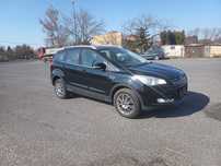 kuga z niemiec w automacie