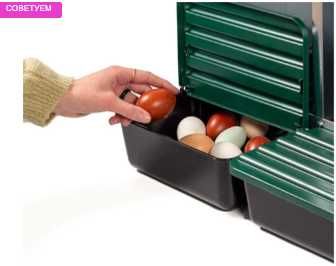 Гнездо для кур-несушек с яйцесбором защищенным, большое, на 4 отсека