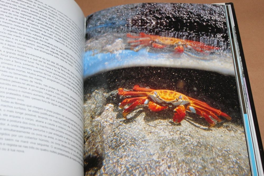 Supernatural - Os Poderes Ocultos dos Animais