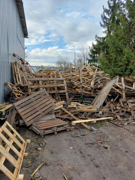 Oddam za darmo drewno na opał