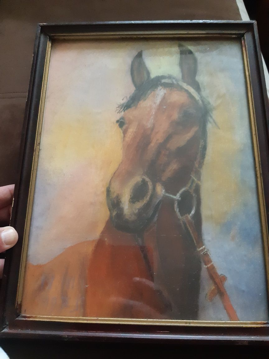 Obraz pastel koń