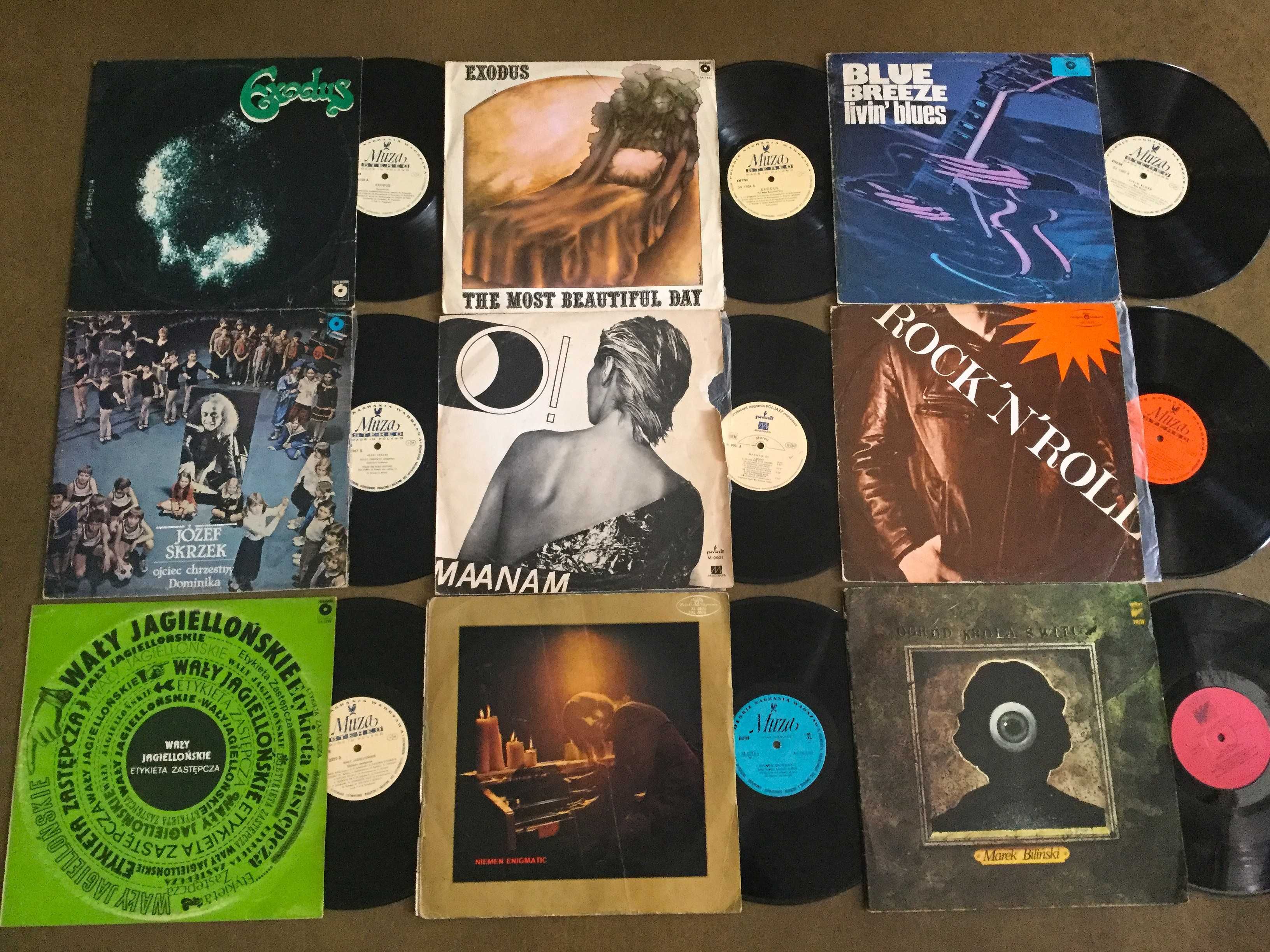 Maanam, Niemen, Biliński, Rock, Blue - Zestaw 9LP TANIO