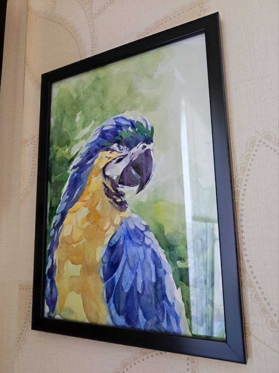Акварельный рисунок Попугай в рамке А4