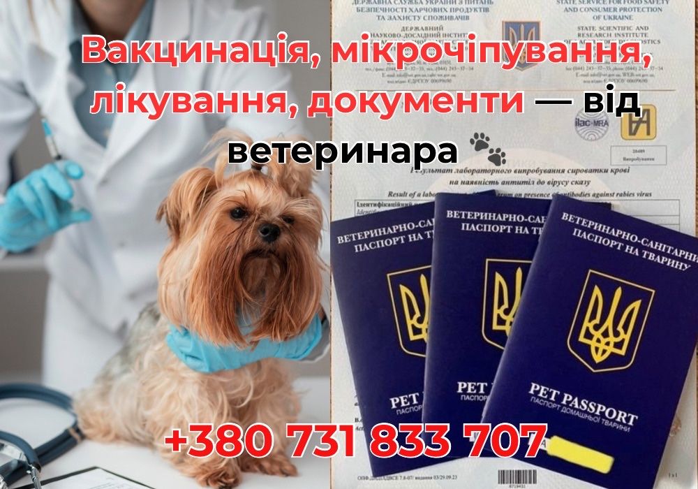 Ветеринар. Чіпування, Вакцинація, Паспорт | Офіційно і Швидко