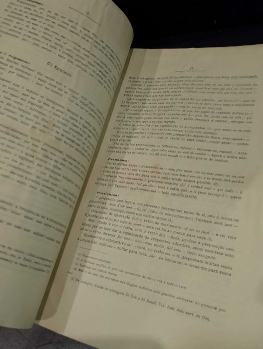 Dialecto Indo-Português de Damão 1922 Sebastião Rodolpho Dalgado