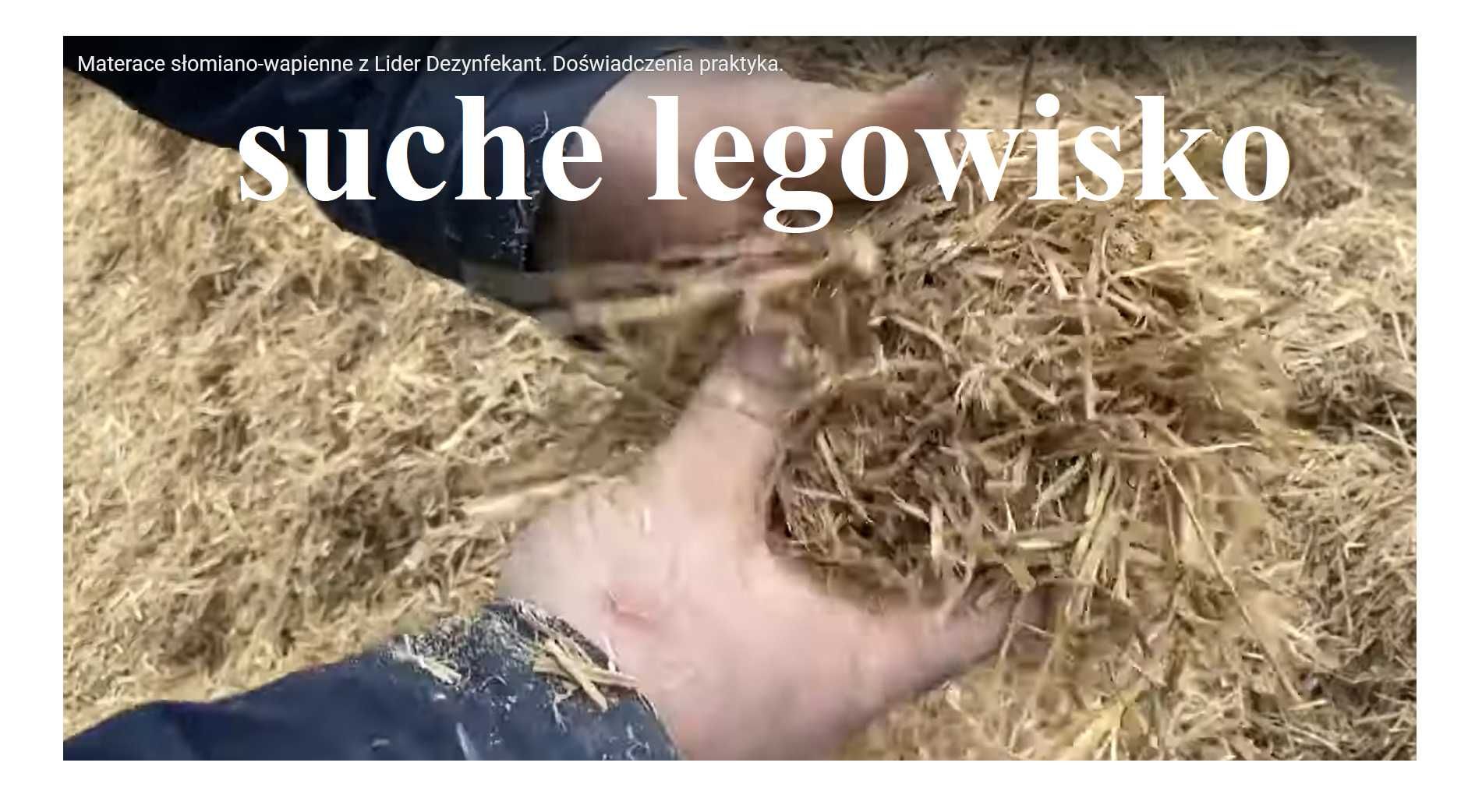 Lider dezynfekant, preparat do osuszania powierzchni kurnika, dobory