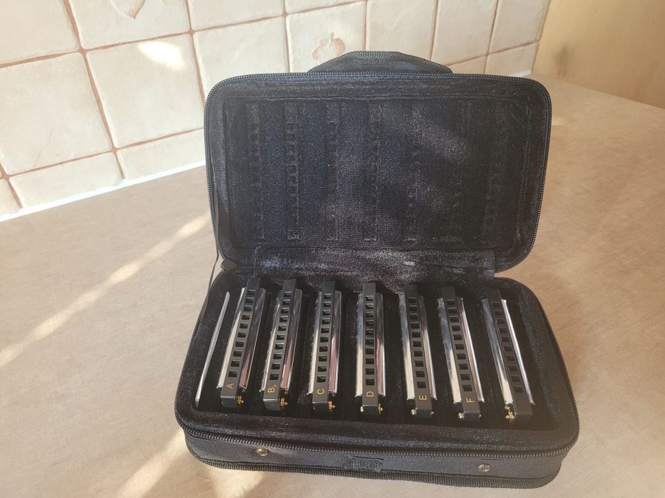 Zestaw Harmonica Blues Hohner Vintage