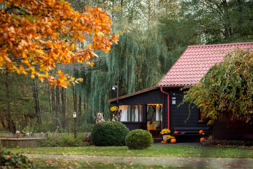 Agroturystyka w sercu natury – idealne miejsce na odpoczynek!