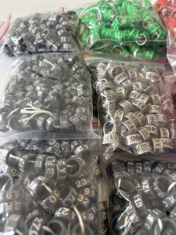 Obrączki dla gołębi ozdobnych od 6.5 - 12 mm na 2026 r