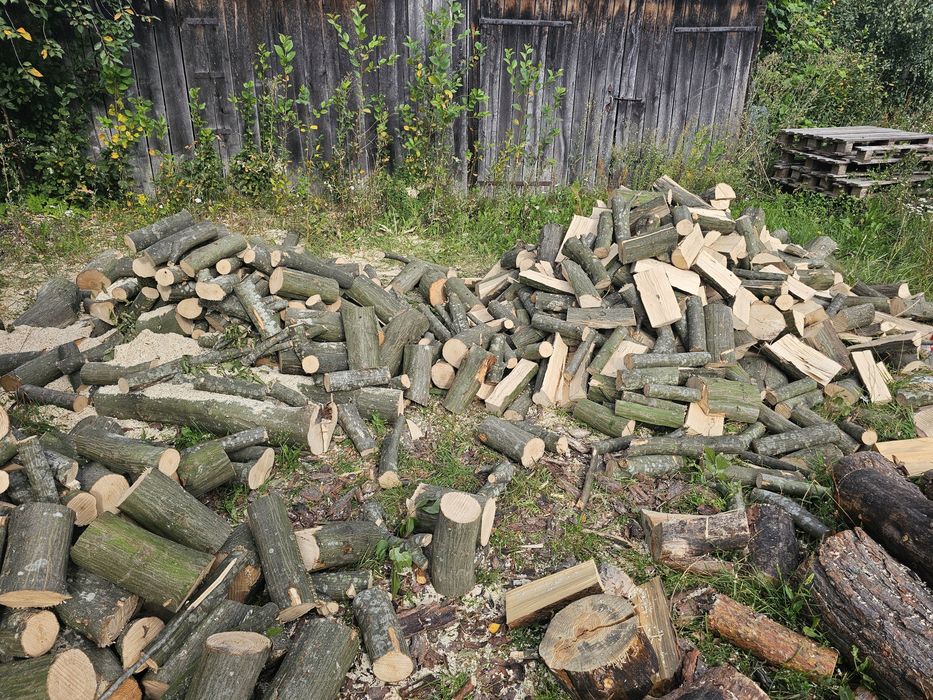 Drzewo opałowe sosna ,brzoza i grab