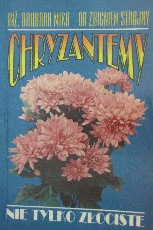Chryzantemy Nie Tylko Złociste Barbara. Mika