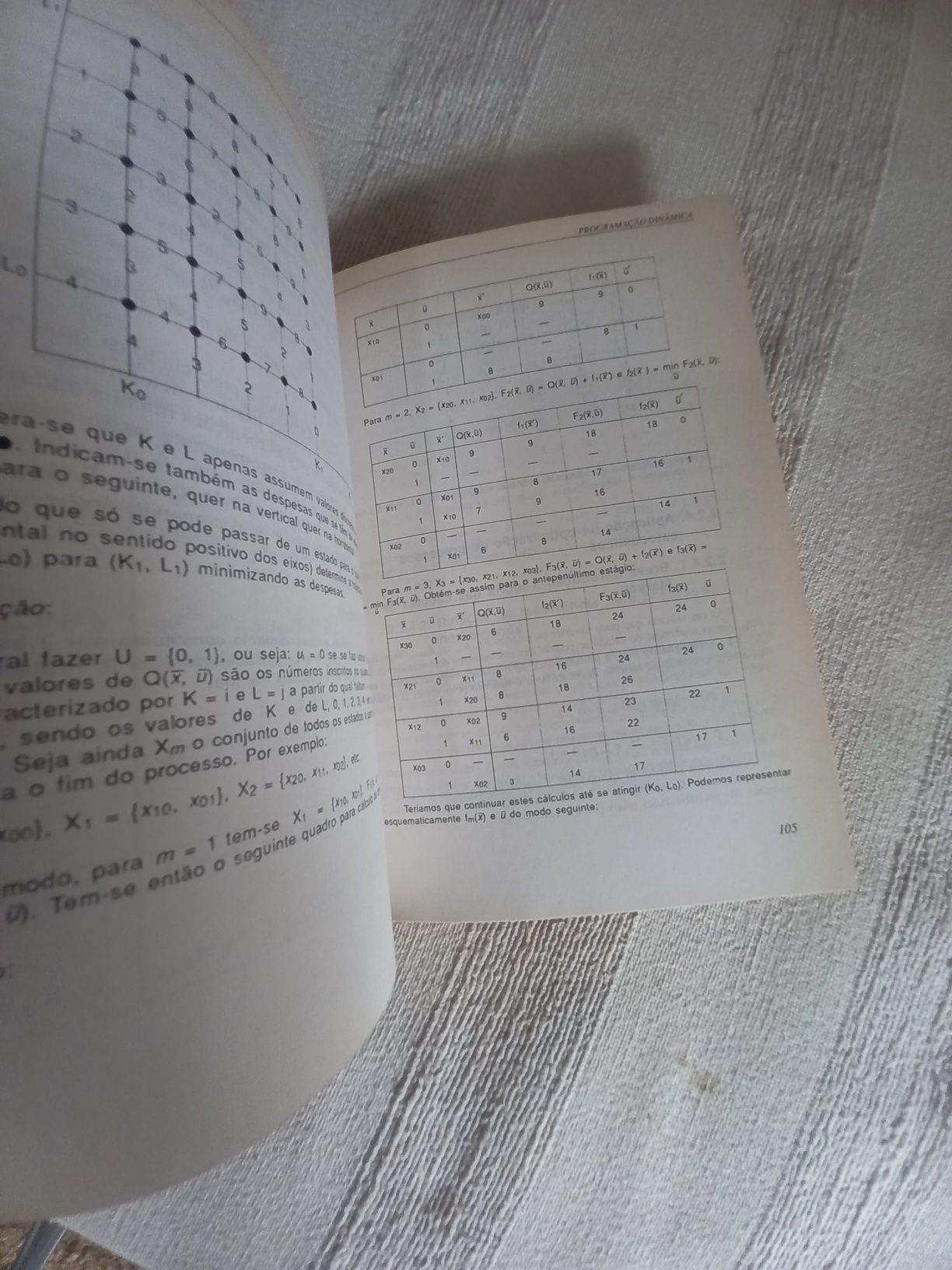 Livro sobre Programação Matemática