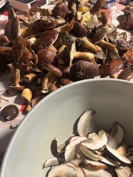 Grzyby wlasnorecznie zbierane, selekcjonowane, wszystkie zdowe