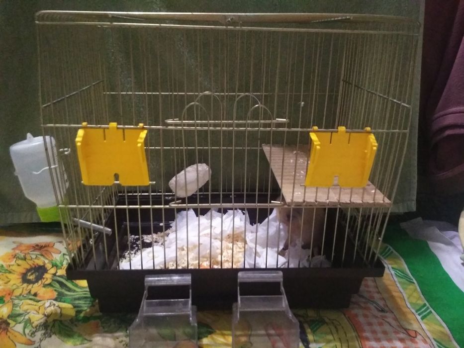 Продам клітку для гризунів або птахів