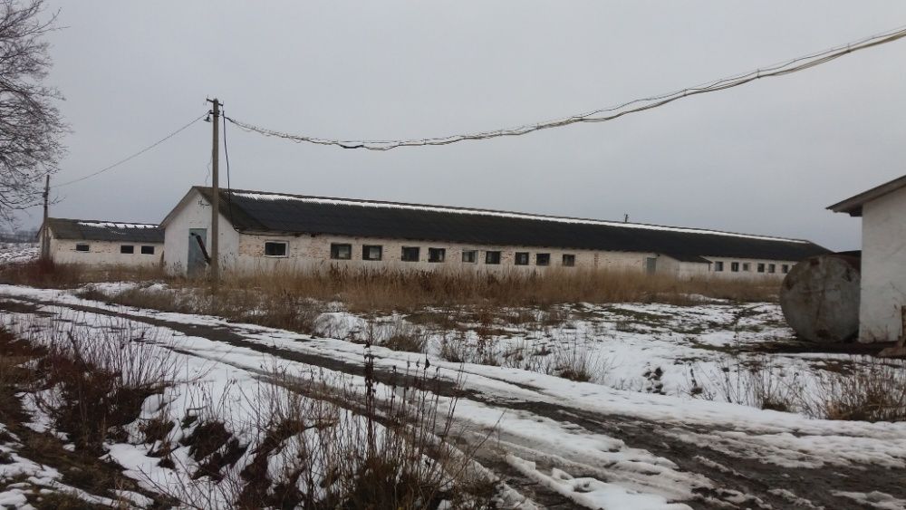 Здам в оренду приміщення під ферму або ін.