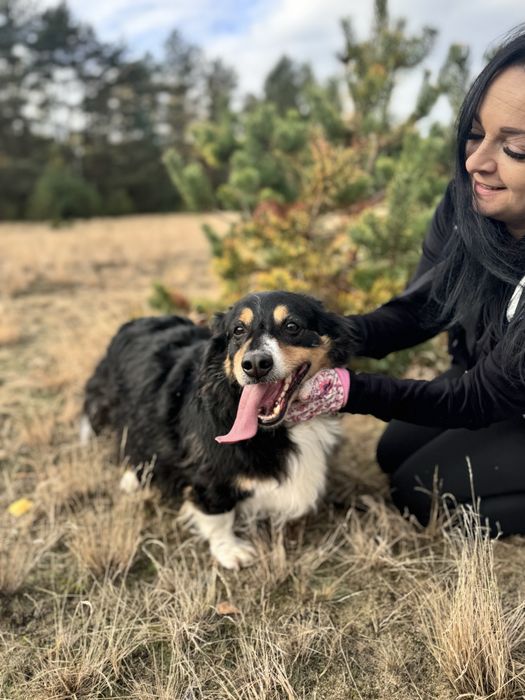 Dwa lata czekał na spacer za kratami… Klusio