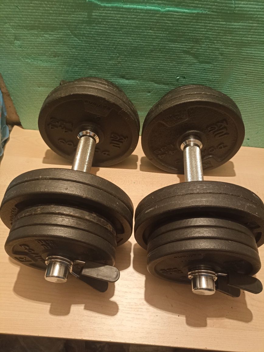 Hantle 2×12 kg Domyos