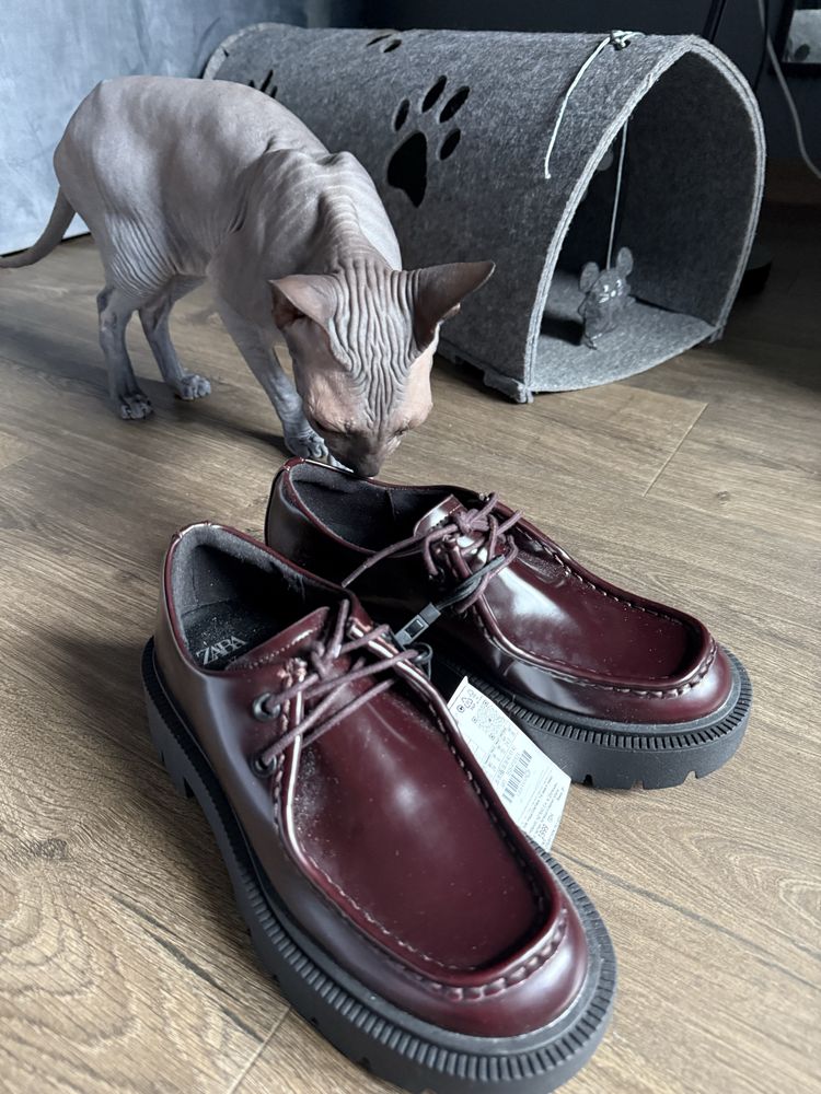 Туфлі  ZARA на шнурках лофери