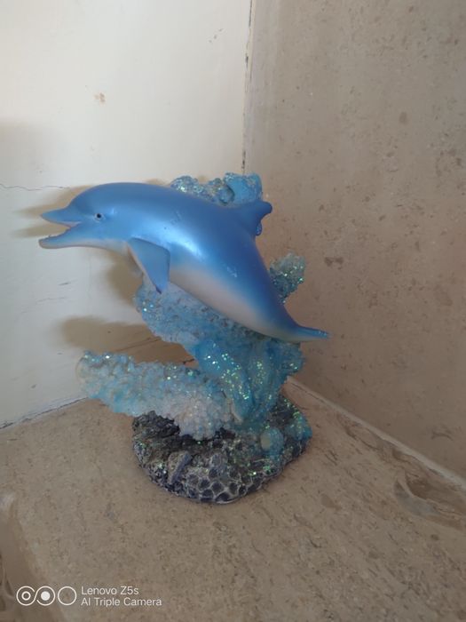 Moldura ALGARVE Nova / Golfinho