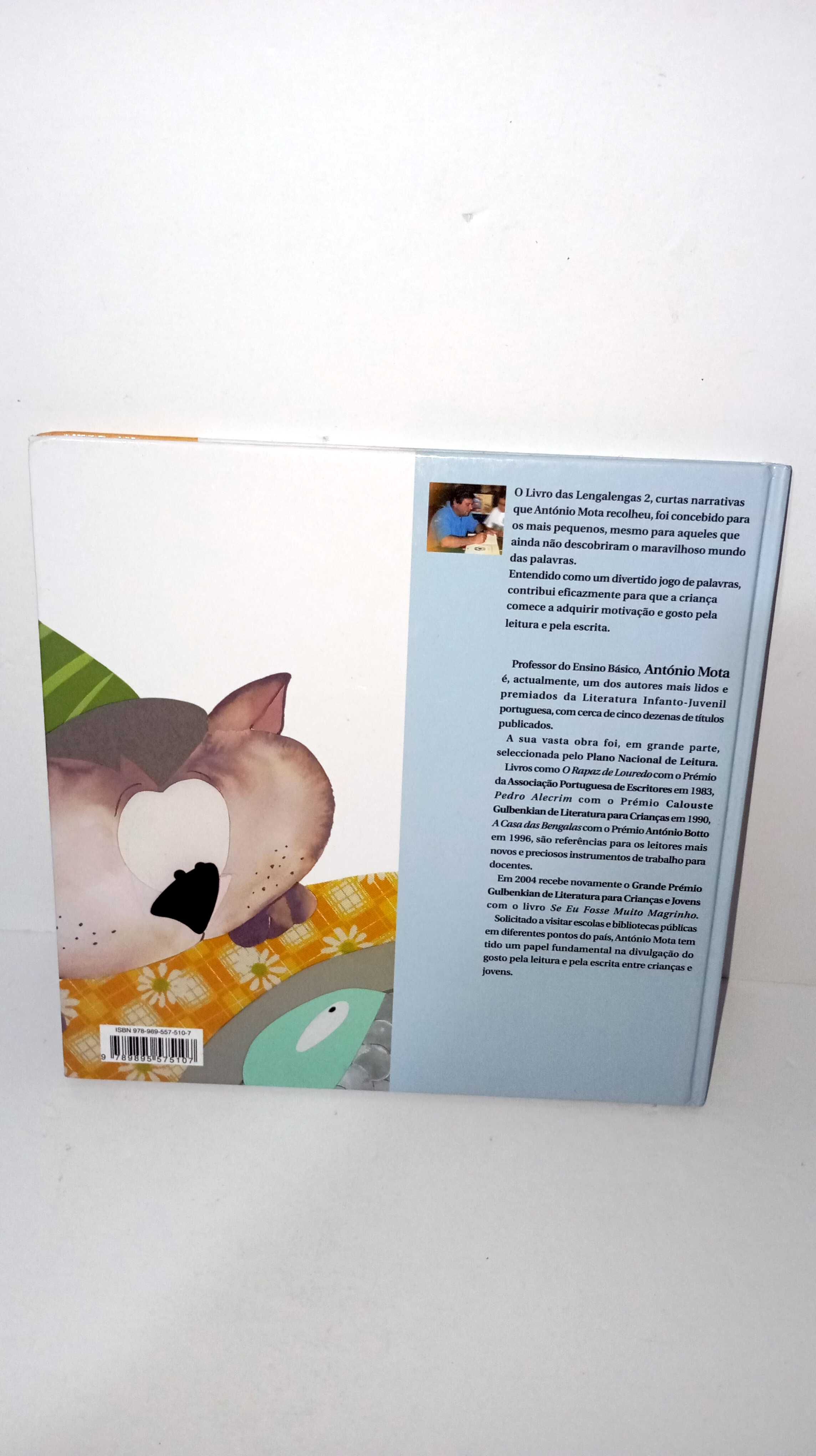O Livro das Lengalengas 2 - António Mota