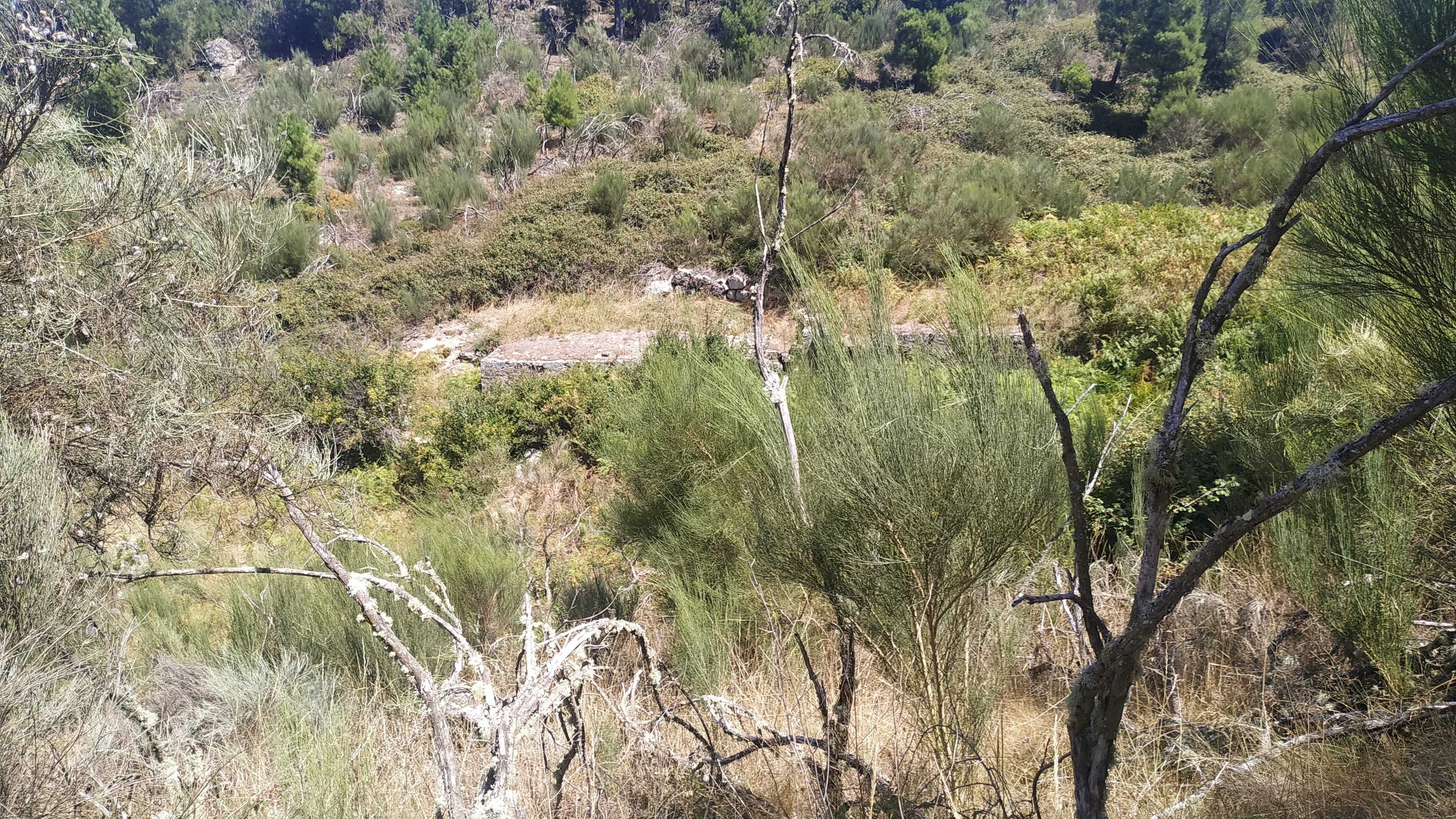 Terreno em Celorico da Beira